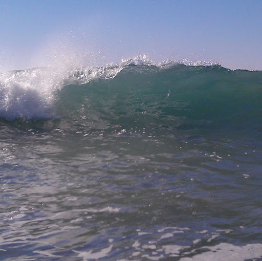 Shane Howell Photo 14