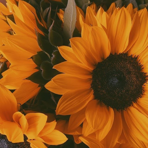 Reina Martinez Photo 1