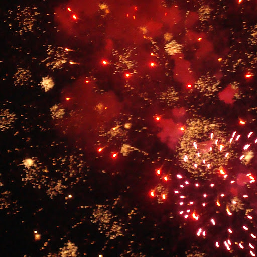 Susan Stacy Photo 21