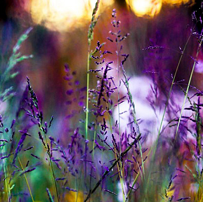 Crystal Briggs Photo 21