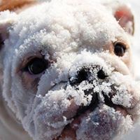 Jeff Englert Photo 18