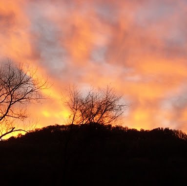 Debra Michael Photo 16