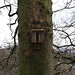 Glen Bird Photo 25