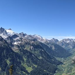 Danielle Pringle Photo 5