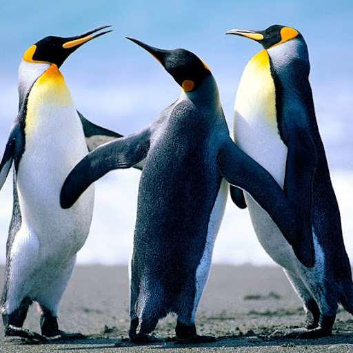 Zack Jenkins Photo 10