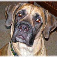 Carolyn Connors Photo 14