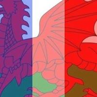 Annmarie Kelly Photo 9