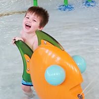 David Sayles Photo 19