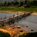 Pang Vang Photo 26