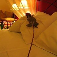 Mona Elkady Photo 7