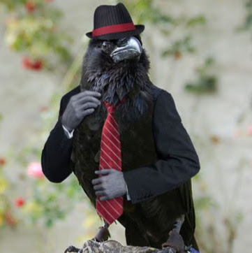 Colin Morrison Photo 14