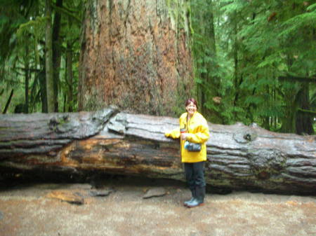 Cathy Bell Photo 18