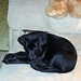 Elizabeth Boyer Photo 46
