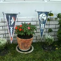 Kathy Harmon Photo 10