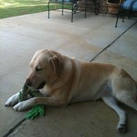 Bobby Proctor Photo 32