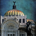 David Palacios Photo 10