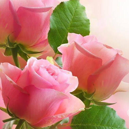 Teresa Rich Photo 40