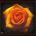 Thomas Everhart Photo 10