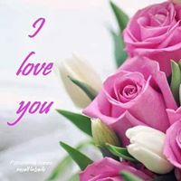 Miguelina Torres Photo 11