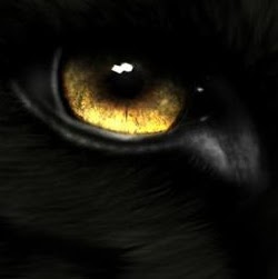 Mary Carlisle Photo 7