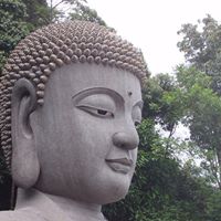 Chin Ong Photo 9