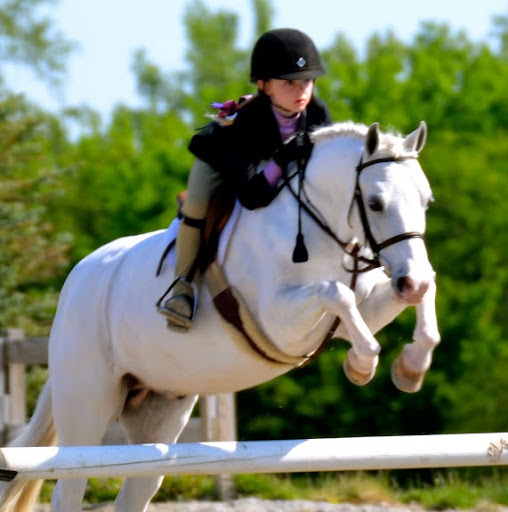 Kris Pollock Photo 10