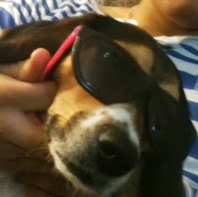 Jason Newman Photo 47