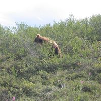 Meg Thornton Photo 9