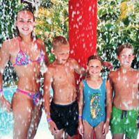 Janice Koehler Photo 12