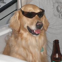 Haley Nolan Photo 16