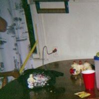 Patricia Austin Photo 24
