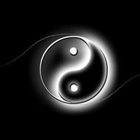 Michelle Willems Photo 20