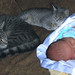 Dominic Case Photo 9