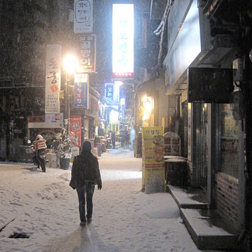 Steven Lowe Photo 15 Steven Lowe Photo 15