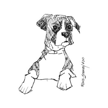 Terry Stanley Photo 12