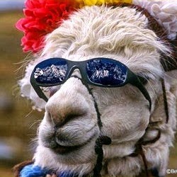 Jim Merrill Photo 47