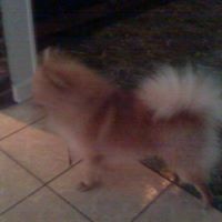Zion Clark Photo 7