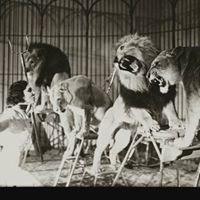 Maria Wiseman Photo 9