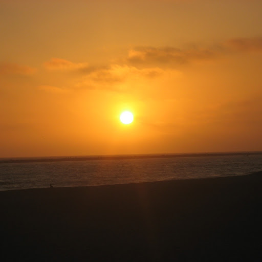 Jennifer Shapiro Photo 41