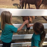 Tracy Daigle Photo 21