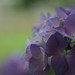 Debra Best Photo 42