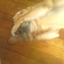 Terri Bryant Photo 12