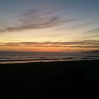 Sylvia Carr Photo 17