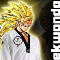 Raymond Perron Photo 14