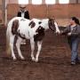 Tracy Myers Photo 28