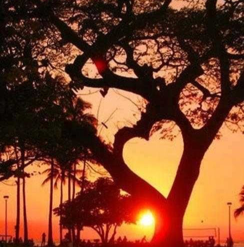 Lori Shelton Photo 9