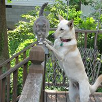 Dana Murphy Photo 8 Dana Murphy Photo 8