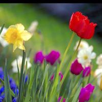 Susan Matthews Photo 16 Susan Matthews Photo 16