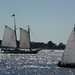 Ann Schwartz Photo 43