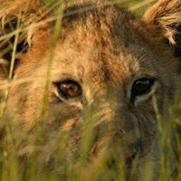 Brenda Kerns Photo 12